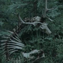 the catchup v2 notbound t4 catchgoparadigm draft