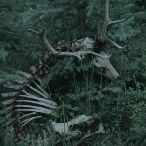 the catchup v2 notbound t4 catchgoparadigm draft