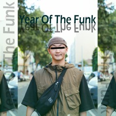 Year Of The Funk Mix | Download On Bandcamp