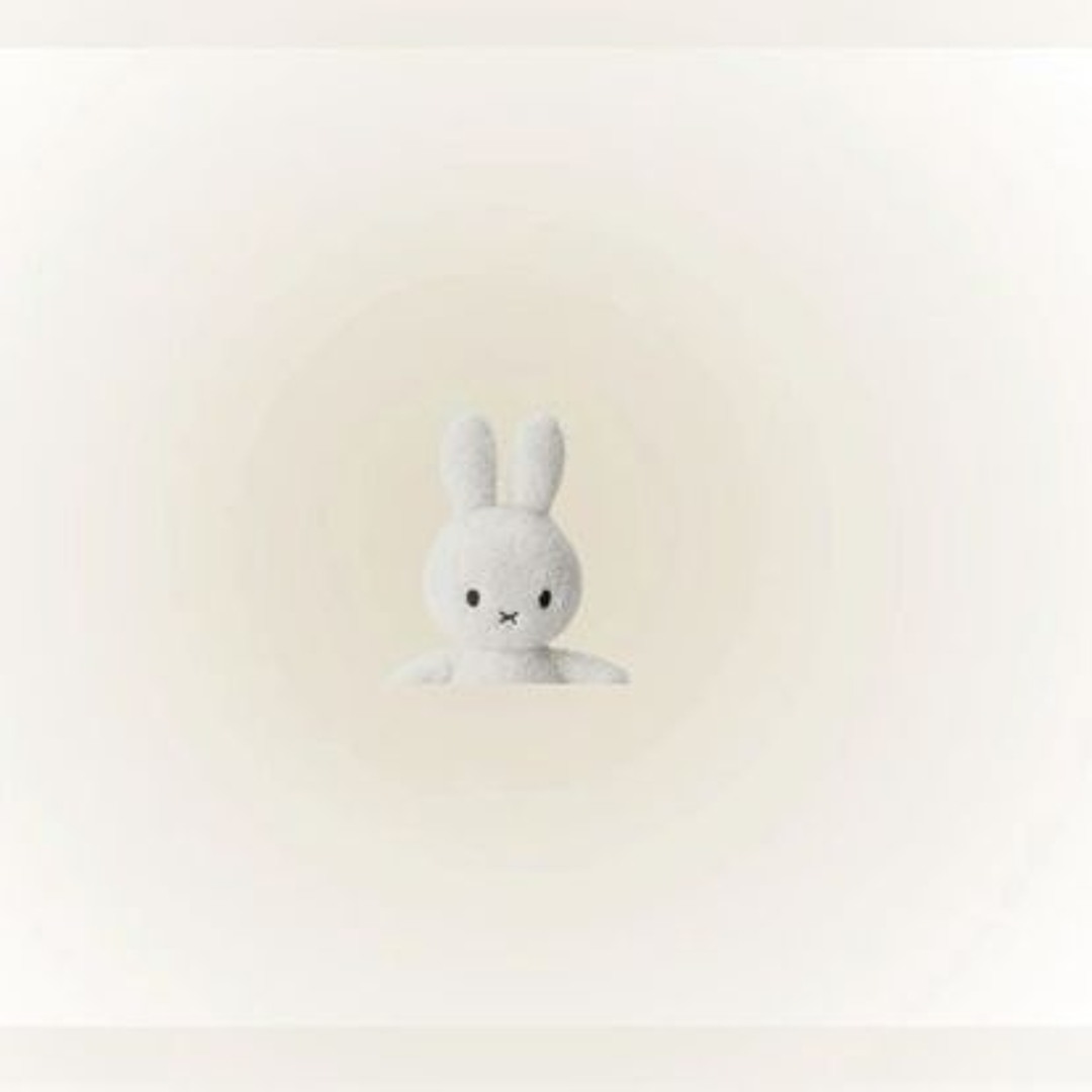 Stream Paper Bag-Fiona Apple (COVER) by laila t | Listen online for ...