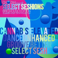 SELECT SESHIONS BriqHouse Edition (Summer 2023 Tech House Mix) | FREE DOWNLOAD