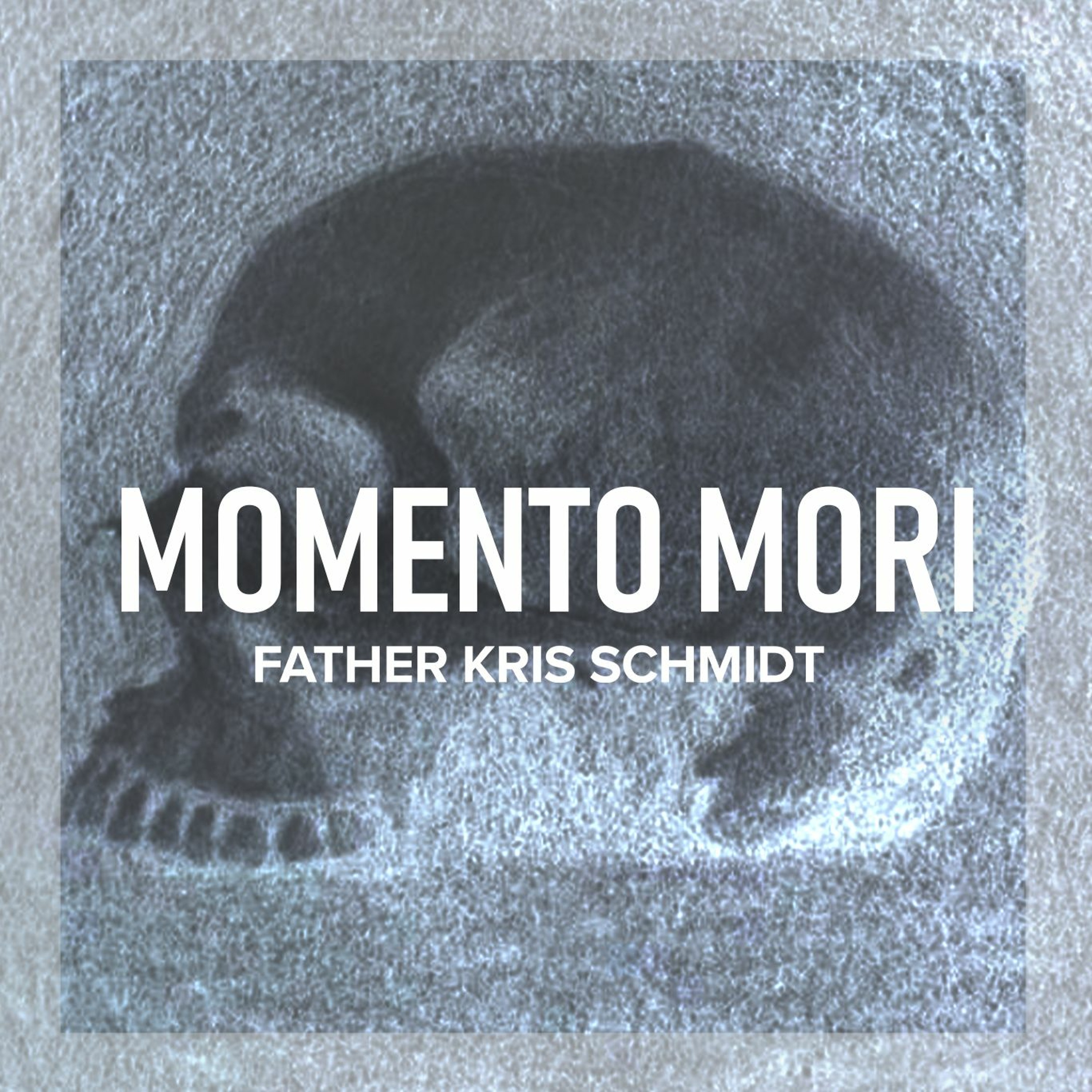 Fr. Kris Schmidt Homilies