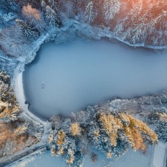 Frozen Lake (2025)