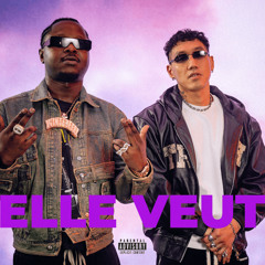 Monsieur Nov - Elle veut ft. Leto