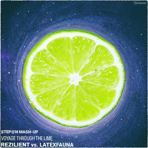 Rezilient vs. Latexfauna - voyage through the lime (Step@n mash-up)