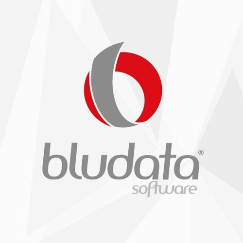 Blog Bludata - Perder tempo é perdes clientes no Despachante