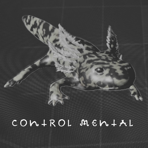 Control Mental (Demo)