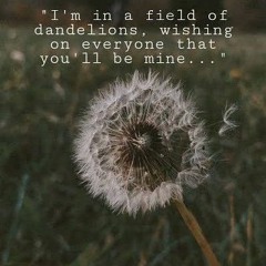 Dandelions - Ruth B (Cover)