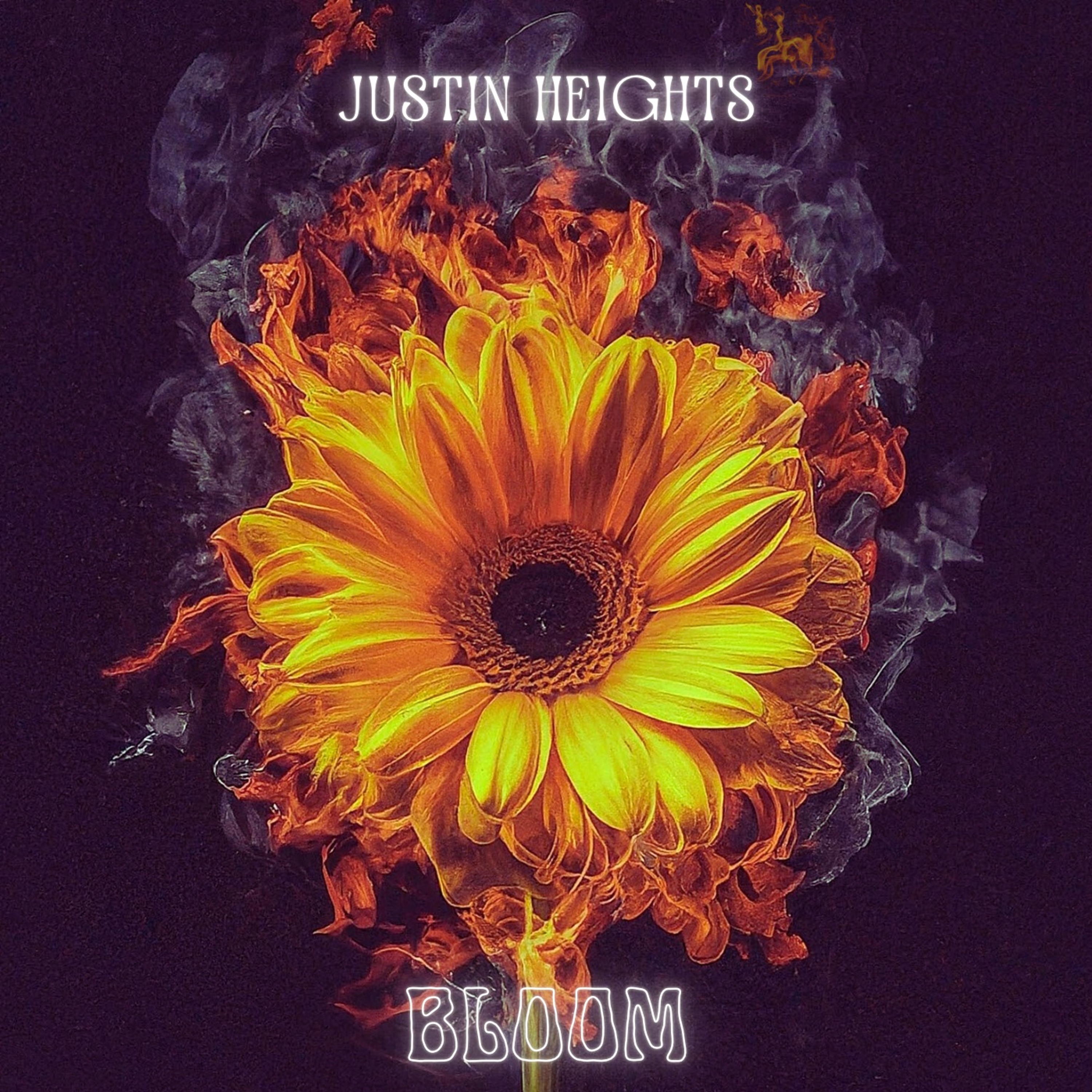 Bloom episode artwork