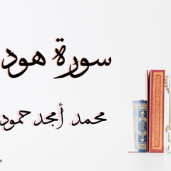 سورة هود || محمد أمجد حموده