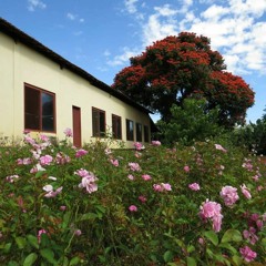 28.12.2021-Cap.VII - Puros de Coração - Instruções dos Espíritos - Vinde a Mim as Criancinhas (3)
