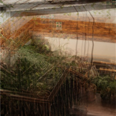 NoNoNoRemixM2