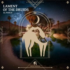 Lament of the Druids (with Sinead Cahillane)
