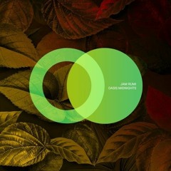 Jam Rumi - Phoenix Rise (Original Mix)[Area Verde]