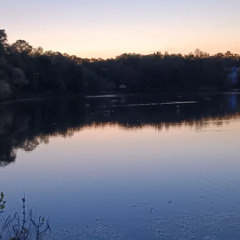 Rest. [And There I lay]