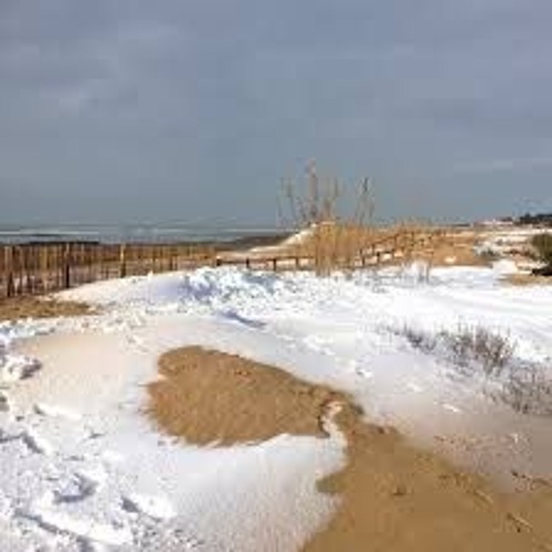 Ils Vont Si Bien Ensemble (avec Christian Devienne)