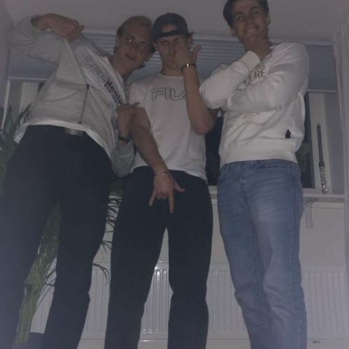 Zyzz - Avicii - Levels [eliz and the gubbs hardstyle remix]