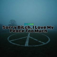 Sorry Bitch, I Love My Peace Too Much