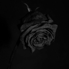 Ella_Es_como_Amar_a_una_rosa_negra.m4a