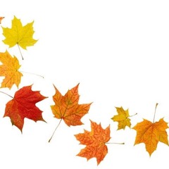 Kicking up the leaves (prod. xtasane)