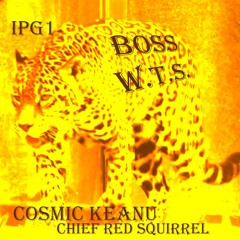 Boss W.T.S. (IPG1 & Cosmic Keanu)