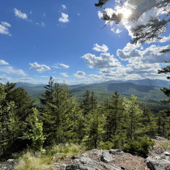 Staring at Trees.m4a