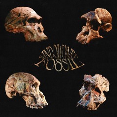 FOSSIL