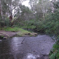 Darebin Creek and Hurstbridge line