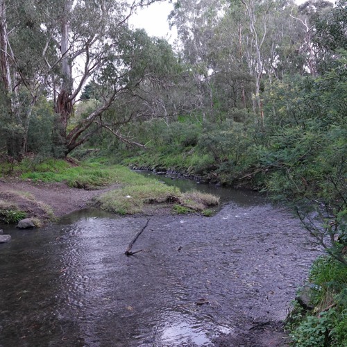 Darebin Creek and Hurstbridge line