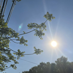 My uncle who was like a second father to me, passed from covid today