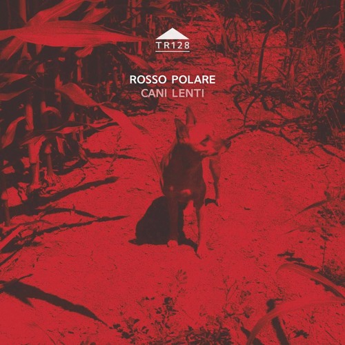 TR128 - Rosso Polare - 'Carrubbe Chit Ka'