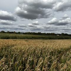 fminor_2_brokeboi_remix.mp3