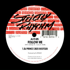 Follow Me (DJ Prince 2025 Instrumental Remix)