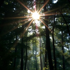DIVINE JAGUAR ~ Peace On Gaia Mix ~ 4hr Deep Organic House, Tribal, Afro & Melodic Techno Mix
