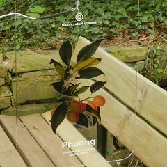 3 neue Schwestern - Excerpt