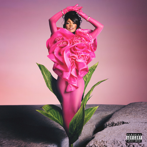 Pitchfork Selects
