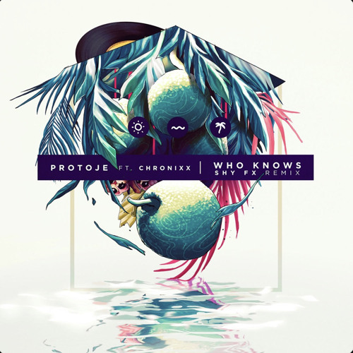 Who Knows (SHY FX Remix) [feat. Chronixx]