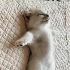 nice dream radiohead