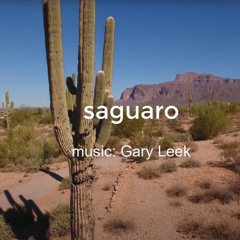 Saguaro