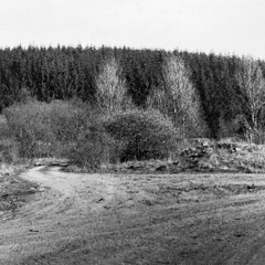 Riccarton Junction