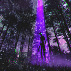 Echoes Beyond