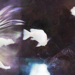 2단지 2danji - 당신의 푸른 눈가에서 by the side of your blue eyes