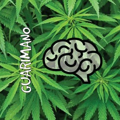 Ikal Mestizo - Guarimano