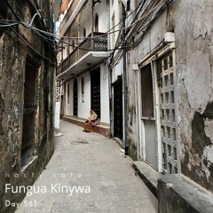 n a s t y  n a t e - Fungua Kinywa. Day 563 - AMAPIANO