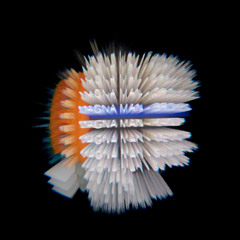 MAGNA MAN - FREE DL TRAXX