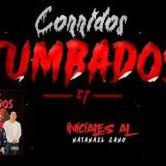 CMaster❌Iniciales AL❌Natanael Cano **Cover**