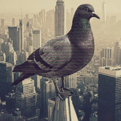 Stimming - Keys Don´t Match (himmlitz Remix)