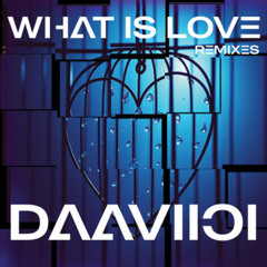 What Is Love (Pary Remix)