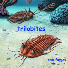 Trilobites (Tom Furgas)
