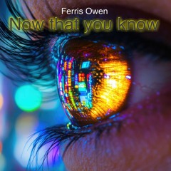 Now that u no me - Ferris Owen